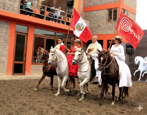 Peruvian Paso Horse Show and Traditional Lunch in Lima