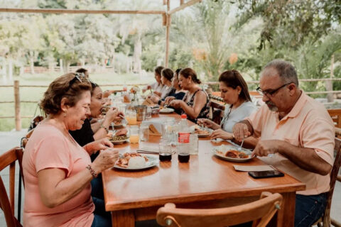 Full Day: Paracas, Ica Tour - Ballestas Islands, Huacachina & Vineyard