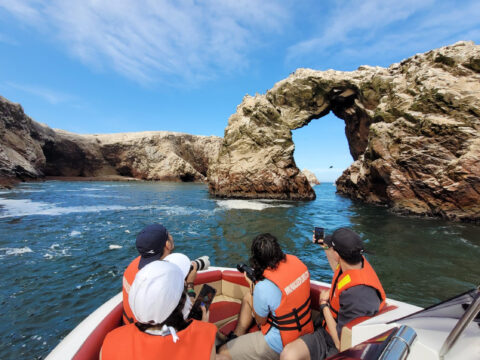Full Day: Paracas, Ica Tour - Ballestas Islands, Huacachina & Vineyard