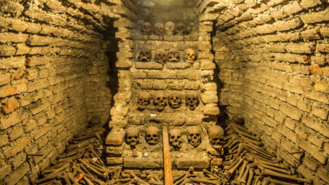 Historic Center of Lima Tour with Private Transportation and Guide