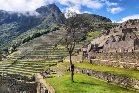 Full Day: Private tour to Machu Picchu from Cusco
