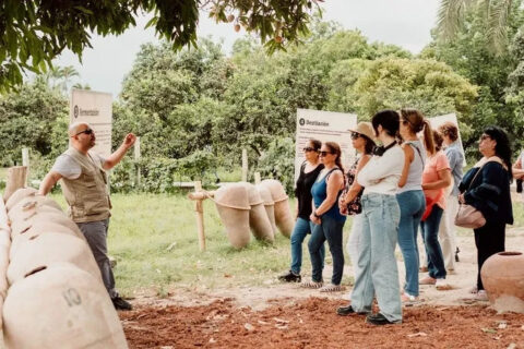 Nazca Ica Tour - Nazca Lines Flight, Huacachina & Vineyard