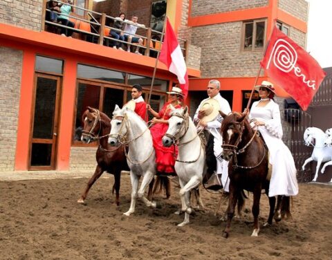 Peruvian Paso Horse Show and Traditional Lunch in Lima