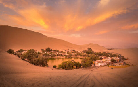 Full Day: Paracas, Ica Tour - Ballestas Islands, Huacachina & Vineyard