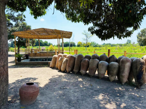 Full Day: Paracas, Ica Tour - Ballestas Islands, Huacachina & Vineyard