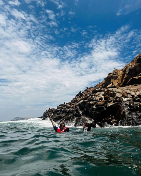 Palomino Islands Tour with Private Transportation and Guide