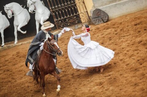 Peruvian Paso Horse Show and Traditional Lunch in Lima