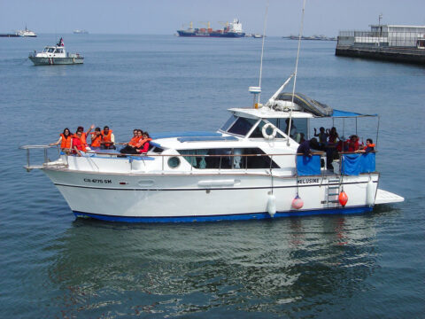 Palomino Islands Tour with Private Transportation and Guide