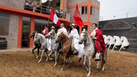 Peruvian Paso Horse Show and Traditional Lunch in Lima