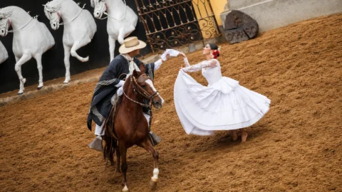 Peruvian Paso Horse Show and Traditional Lunch in Lima