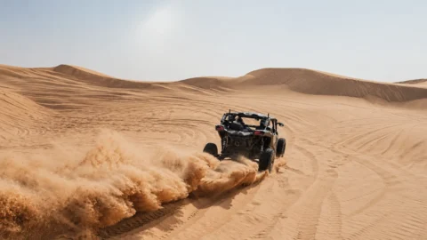 We will head into the dunes for an exciting UTV adventure and sandboarding experience, combining adrenaline and spectacular desert landscapes.