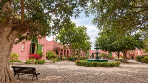 We will begin our journey visiting to the historic Tacama Vineyard, the oldest in South America. We will learn about the wine and pisco-making process and enjoy a tasting of some of the varieties produced at this traditional vineyard, including Peru’s signature spirit, pisco.