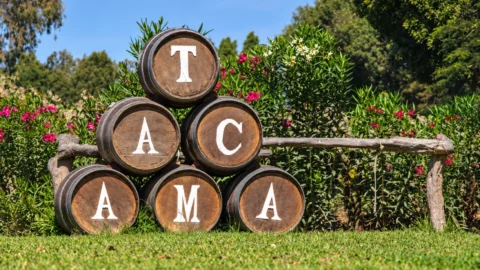 We will begin our journey visiting to the historic Tacama Vineyard, the oldest in South America. We will learn about the wine and pisco-making process and enjoy a tasting of some of the varieties produced at this traditional vineyard, including Peru’s signature spirit, pisco.